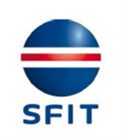 SF IT UK (Logo)